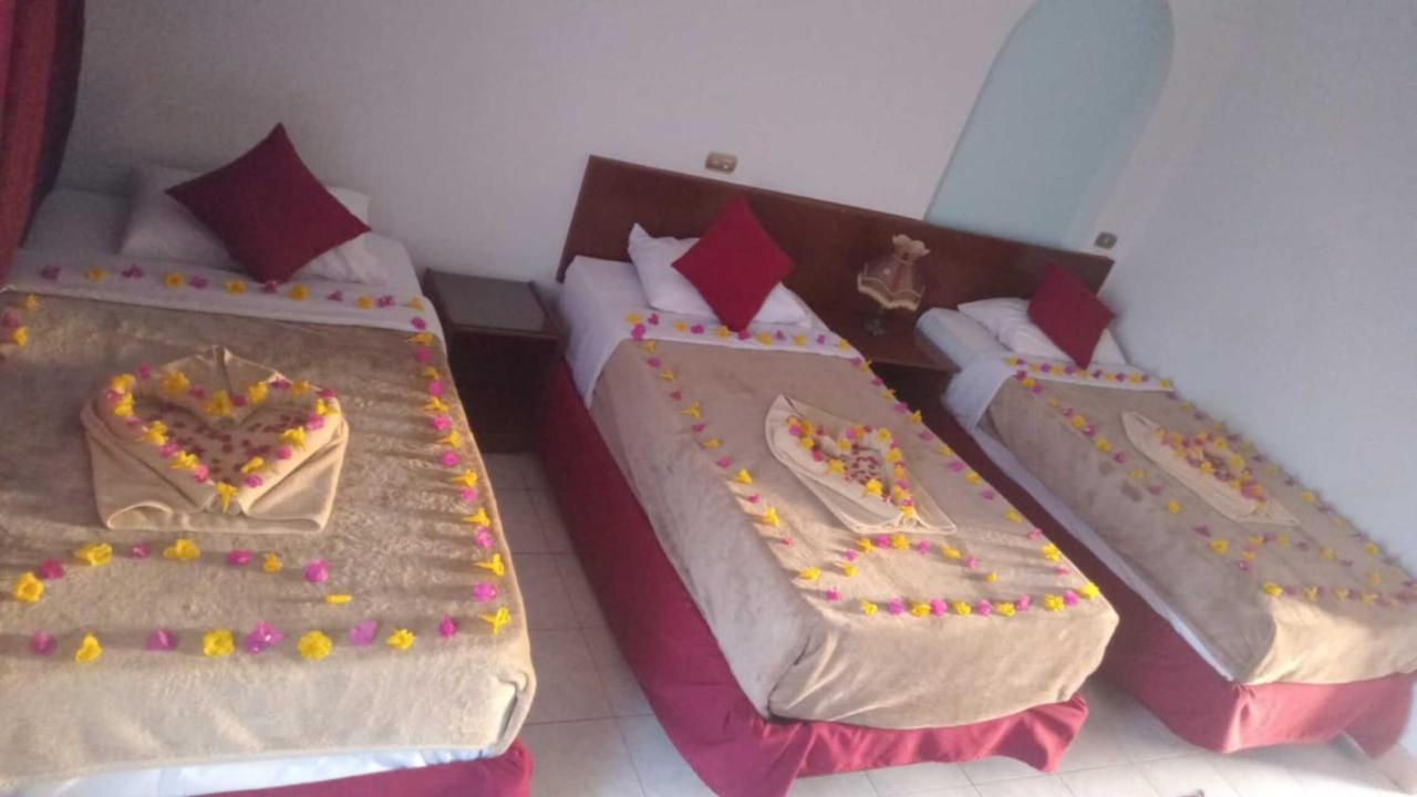 Halomy Sharm Resort Εξωτερικό φωτογραφία